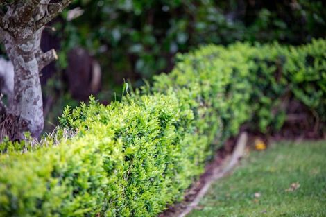 Photo of property in 9 Elizabeth Street, Beerescourt, Hamilton, 3200