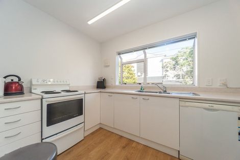 Photo of property in 19/20 Thompson Street, Mount Cook, Wellington, 6011