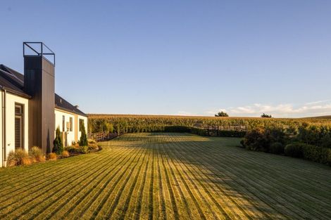 Photo of property in 141 Bank Road, Te Awamutu, Ohaupo, 3883