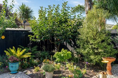 Photo of property in 40 Pacific Cove Drive, Papamoa Beach, Papamoa, 3118