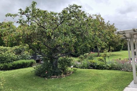 Photo of property in 283 Claremont Road, Claremont, Timaru, 7974