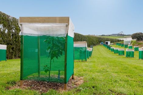 Photo of property in 185 Pongakawa Bush Road, Pongakawa, Te Puke, 3186