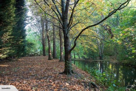 Photo of property in 26 Waiora Lane, Waikuku, 7473