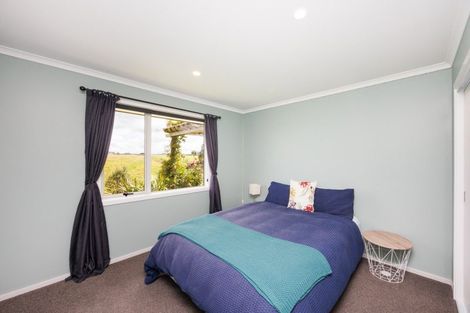 Photo of property in 158 Mount Biggs Road, Halcombe, Feilding, 4779