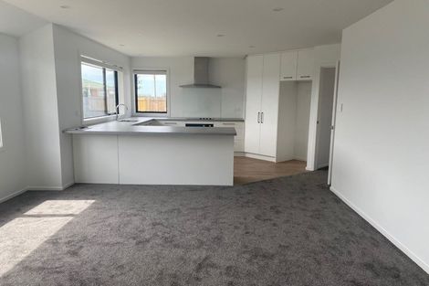 Photo of property in 103a Trevors Road, Hampstead, Ashburton, 7700