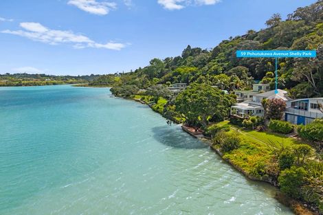 Photo of property in 59 Pohutukawa Avenue, Shelly Park, Auckland, 2014