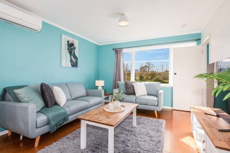 Photo of property in 96 Harrison Street, Featherston, 5710