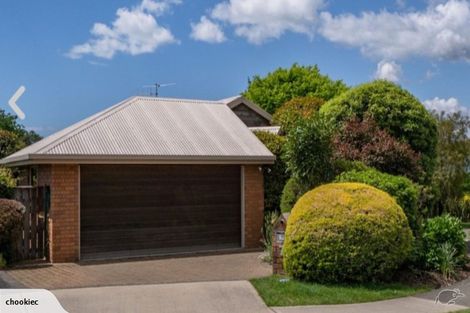 Photo of property in 7 Shetland Place, Richmond, 7020