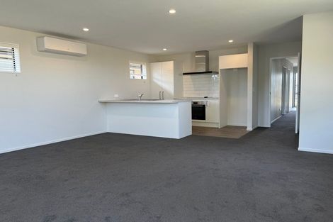 Photo of property in 29 Mills Road, Marshland, Christchurch, 8051
