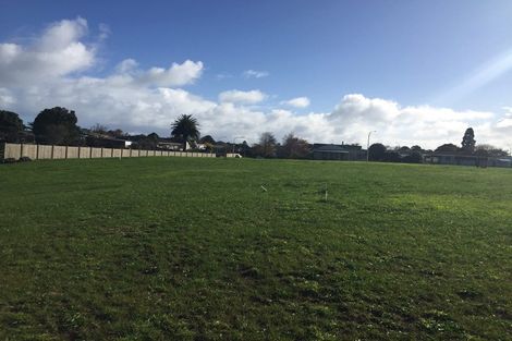 Photo of property in 33 Aratapu Street, Waitara, 4320