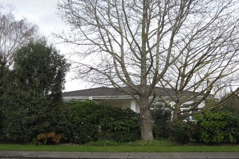 Photo of property in 502 Henry Street, Raureka, Hastings, 4120