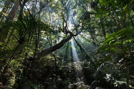 Photo of property in 1327e State Highway 10, Kerikeri, 0293