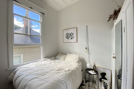 Photo of property in 26 Buchanan Street, Kingsland, Auckland, 1021