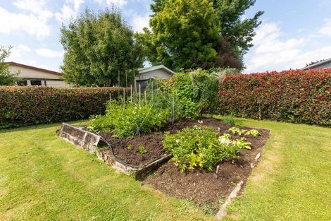 Photo of property in 3 Grace Avenue, Te Aroha, 3320