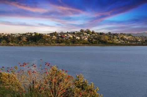 Photo of property in 31 Rewarewa Place, Matua, Tauranga, 3110