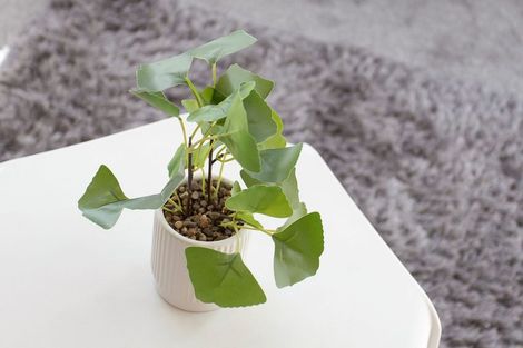 Photo of property in 3/186 Salisbury Street, Christchurch Central, Christchurch, 8013