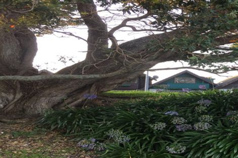 Photo of property in 43b Turret Road, Tauranga South, Tauranga, 3112