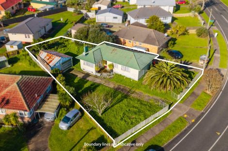 Photo of property in 46 Ferguson Road, Otara, Auckland, 2023