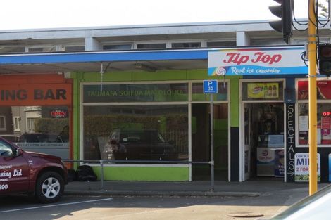 Photo of property in 3 Featherston Street, Levin, 5510