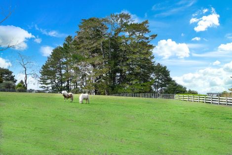 Photo of property in 90 Mcentee Road, Waitakere, Auckland, 0816