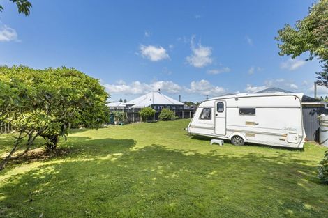 Photo of property in 140 Miranda Street, Stratford, 4332