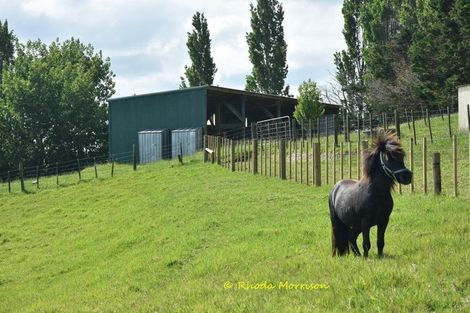 Photo of property in 69 Matakohe Wharf Road, Matakohe, 0593