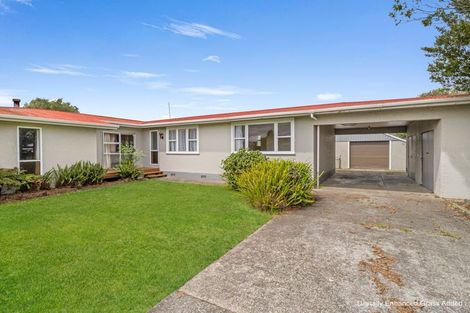 Photo of property in 68 Salisbury Street, Ashhurst, 4810