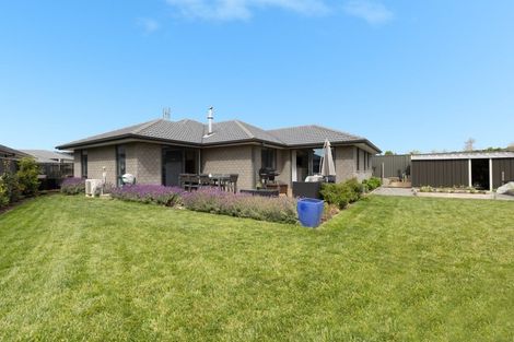 Photo of property in 20 Traverse Lane, Omokoroa, 3114