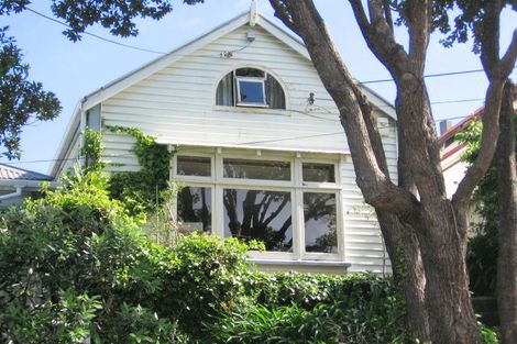 Photo of property in 45 Hankey Street, Mount Cook, Wellington, 6011