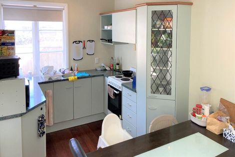 Photo of property in 99 Rimu Street, Maeroa, Hamilton, 3200