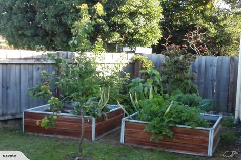 Photo of property in 18 Coleman Place, Darfield, 7510