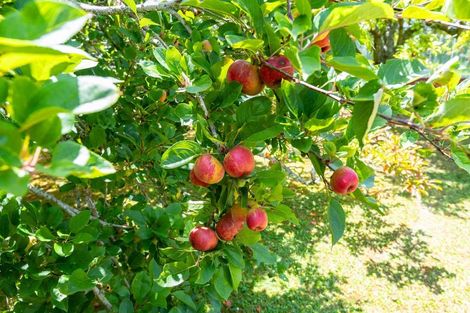 Photo of property in 704 State Highway 1, Wellsford, 0975