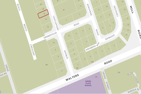 Photo of property in 16 Castlepoint Avenue, Takanini, 2110