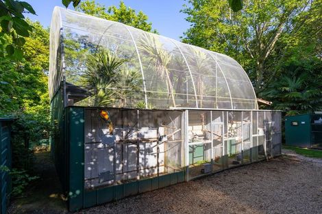 Photo of property in 365 Mill Creek Road, Kaimarama, Whitianga, 3591