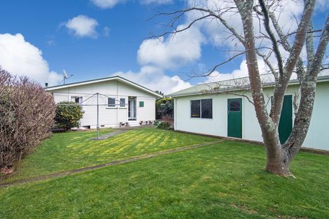 Photo of property in 18 Daniell Street, Solway, Masterton, 5810