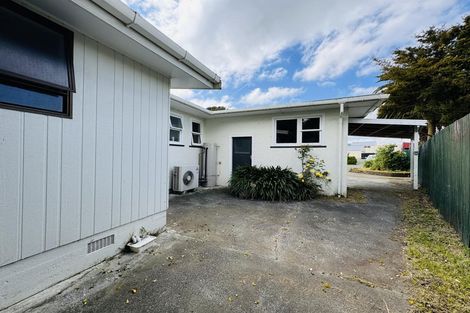 Photo of property in 43 Grey Street, Woodville, 4920