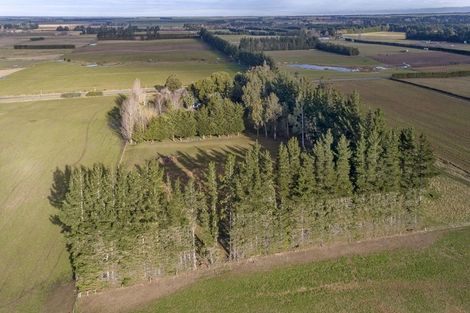 Photo of property in 204 Downs Road, Hororata, Darfield, 7572