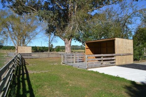 Photo of property in 91 Conways Road, Cust, Rangiora, 7471