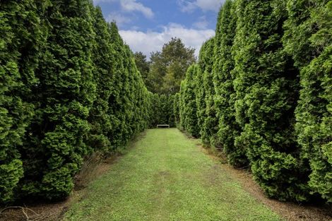 Photo of property in 213 Te Whiti Road, Homebush, Masterton, 5885