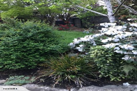 Photo of property in 2 Fifield Street, Roslyn, Dunedin, 9010