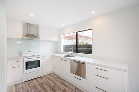 Photo of property in 31a Limbrick Street, Terrace End, Palmerston North, 4410