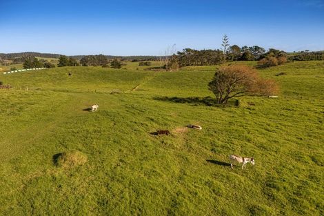 Photo of property in 2640 South Head Road, South Head, Helensville, 0874
