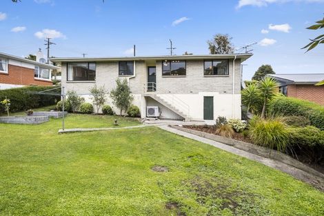 Photo of property in 23 Kinvig Street, Andersons Bay, Dunedin, 9013
