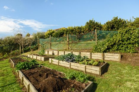 Photo of property in 565a Upper Ohauiti Road, Ohauiti, Tauranga, 3173