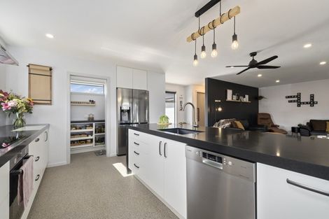 Photo of property in 54 Larch Crescent, Alexandra, 9320