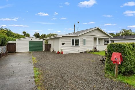 Photo of property in 109 Portia Street, Stratford, 4332