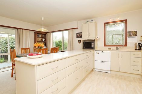 Photo of property in 60 Hillary Street, Winton, 9720