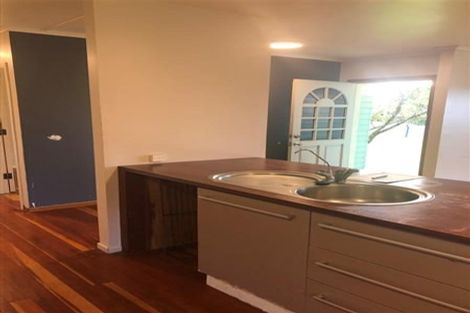 Photo of property in 17 Mildmay Road, Henderson, Auckland, 0610