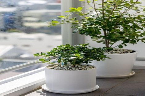 Photo of property in Soho Apartments, 1221/74 Taranaki Street, Te Aro, Wellington, 6011