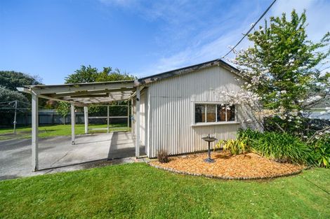 Photo of property in 9 Fitzroy Street, Feilding, 4702